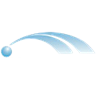 Dions Bus Service logo
